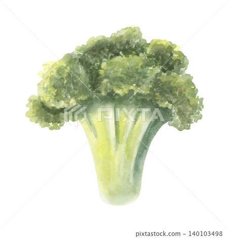Fresh broccoli florets. Hand-painted watercolor illustration isolated on white. Perfect for healthy food branding, recipe books, nutrition guides, menus, wellness blogs, organic product design Fresh broccoli florets. Hand-painted watercolor illustration isolated on white. Perfect for healthy food branding, recipe books, nutrition guides, menus, wellness blogs, organic product design 140103498
