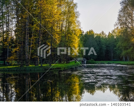 Golden leaves shimmer above a quiet pond. Stone bridge arches Golden leaves shimmer above a quiet pond. Stone bridge arches 140103541