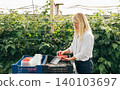 Yoman packs raspberries into plastic boxes 140103697