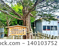 A large tree in the precincts of a shrine 140103752