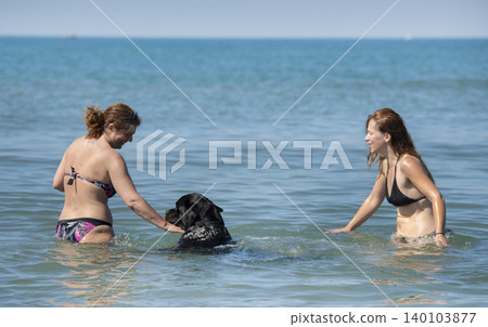 rottweiler and women on the beach 140103877