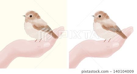Illustration of a small bird perched on a hand (transparent background/PNG/JPEG) 140104009
