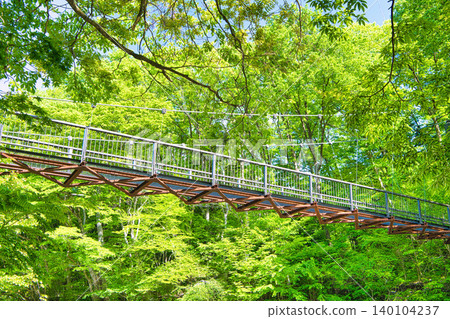 位於栃木縣那須鹽原市木股公園內，橫跨木股川的巨型岩石懸索橋。 140104237