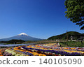 五彩繽紛的鮮花在湛藍的天空下遍佈大石公園，富士山依然白雪皚皚。 140105090
