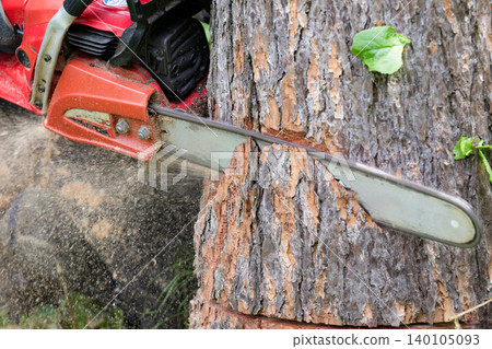 A close-up of the hands during forestry work involving cutting timber for thinning with a chainsaw, illustrating the utilization of forest resources. A close-up of the hands during forestry work involving cutting timber for thinning with a chainsaw, illustrating the utilization of forest resources. 140105093