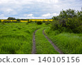A scenic view on the rural path winds through lush green grass and bushes under a cloudy sky. Yellow raps flowers bloom field in the horizon, creating a serene landscape. 140105156