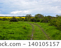 A scenic view on the rural path winds through lush green grass and bushes under a cloudy sky. Yellow raps flowers bloom field in the horizon, creating a serene landscape. 140105157