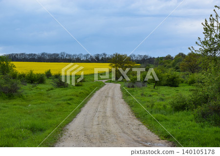 A scenic view on the rural path winds through lush green grass and bushes under a cloudy sky. Yellow raps flowers bloom field in the horizon, creating a serene landscape. A scenic view on the rural path winds through lush green grass and bushes under a cloudy sky. Yellow raps flowers bloom field in the horizon, creating a serene landscape. 140105178