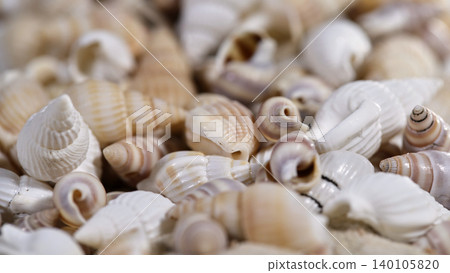 Many seashells collected on sandy surface near the ocean during warm sunny day Many seashells collected on sandy surface near the ocean during warm sunny day 140105820