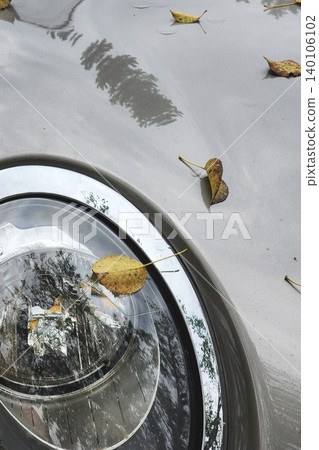 Car headlight reflecting autumn trees with fallen leaves Car headlight reflecting autumn trees with fallen leaves 140106102