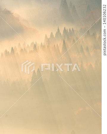 陽光透過秋葉森林灑落的景象。 陽光透過秋葉森林灑落的景象。 140106232