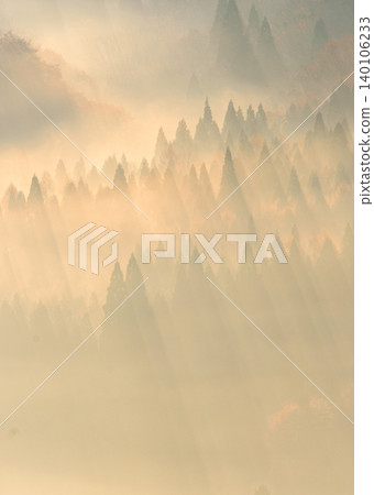 陽光透過秋葉森林灑落的景象。 陽光透過秋葉森林灑落的景象。 140106233