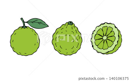 Bergamot Fruit Set with Whole Bergamot Cross Section and Citrus Illustration Bergamot Fruit Set with Whole Bergamot Cross Section and Citrus Illustration 140106375