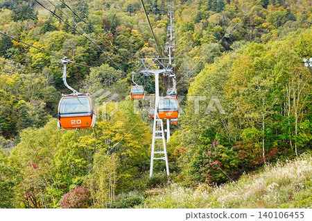 Sapporo Kokusai Ski Resort Autumn Festival - Scenery of the autumn foliage from the gondola Sapporo Kokusai Ski Resort Autumn Festival - Scenery of the autumn foliage from the gondola 140106455