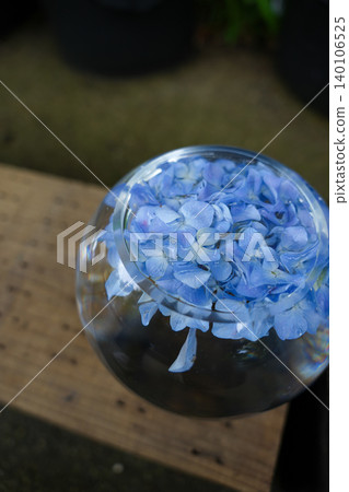 玻璃碗中漂浮著藍色繡球花,展現出雨季的景色。 玻璃碗中漂浮著藍色繡球花,展現出雨季的景色。 140106525