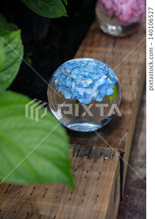 玻璃碗中漂浮著藍色繡球花,展現出雨季的景色。 玻璃碗中漂浮著藍色繡球花,展現出雨季的景色。 140106527