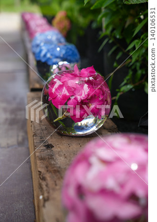 玻璃碗中漂浮著藍色繡球花,展現出雨季的景色。 玻璃碗中漂浮著藍色繡球花,展現出雨季的景色。 140106531