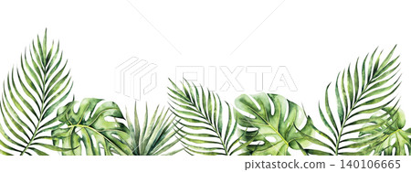 Monstera leaf frame, template. Watercolor hand drawn palm areca, vibrant green tones. Isolated botanical illustration on transparent background. Perfect for tropical design projects. For designers Monstera leaf frame, template. Watercolor hand drawn palm areca, vibrant green tones. Isolated botanical illustration on transparent background. Perfect for tropical design projects. For designers 140106665