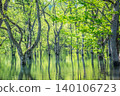 A landscape of a submerged forest enveloped in fresh greenery. 140106723