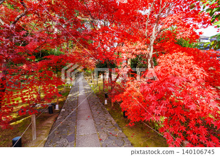 秋日里,通往六王院的石板路兩旁,層林盡染,美不勝收。 秋日里,通往六王院的石板路兩旁,層林盡染,美不勝收。 140106745
