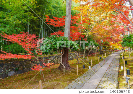 Autumn foliage along the stone-paved approach to Rokuoin Temple Autumn foliage along the stone-paved approach to Rokuoin Temple 140106748