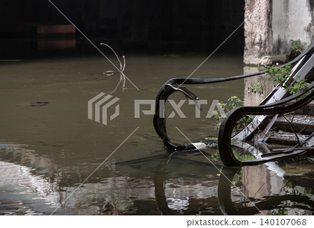 a skeletal escalator stripped to its iron ribs descends blindly into a vast, flooded expanse where murky, mirror-like water doubles the imagery of decay. Breaking the bleakness, fragile green vines 140107068
