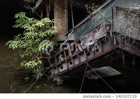 Submerged in a murky, subterranean pool, the rusted skeleton of an abandoned escalator angles sharply into the gloom. Beside it, a vibrant green sapling thrives against the concrete ruins, presenting Submerged in a murky, subterranean pool, the rusted skeleton of an abandoned escalator angles sharply into the gloom. Beside it, a vibrant green sapling thrives against the concrete ruins, presenting 140107210