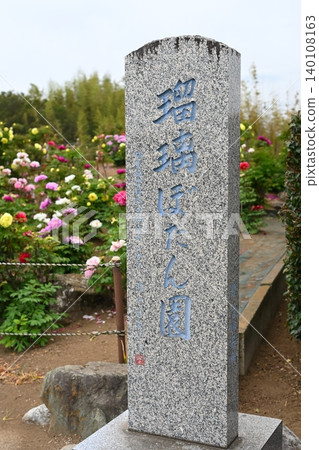 本莊市琉璃牡丹園 本莊市琉璃牡丹園 140108163