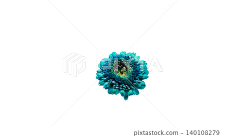 Blue gerbera flower, macro photography, transparent background, vibrant flower image. Blue gerbera flower, macro photography, transparent background, vibrant flower image. 140108279