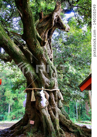 Japan's only dream-granting deity and god of dream-matching... The horse-shaped manifestation at Oosugi Shrine in Inashiki 140108349