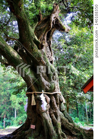 Japan's only dream-granting deity and god of dream-matching... The horse-shaped manifestation at Oosugi Shrine in Inashiki 140108350
