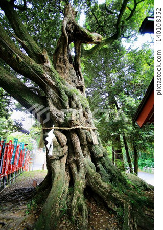 日本唯一能實現夢想、促成美夢的神明……位於稻敷市大杉神社的馬形神像 日本唯一能實現夢想、促成美夢的神明……位於稻敷市大杉神社的馬形神像 140108352