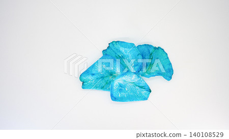 Blue rose petals, white background, macro, copy space Blue rose petals, white background, macro, copy space 140108529