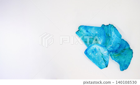 藍色玫瑰花瓣,白色背景,微距拍攝,留白 藍色玫瑰花瓣,白色背景,微距拍攝,留白 140108530