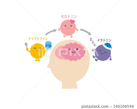 色氨酸、血清素和褪黑素的插圖 色氨酸、血清素和褪黑素的插圖 140108549