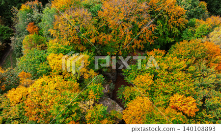 Vibrant autumn forest canopy viewed from above with diverse foliage colors 140108893