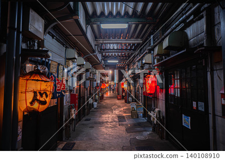 Night view of the back alleys and retro bar district of Aoba Yokocho [Aoi Ward, Shizuoka City, Shizuoka Prefecture] 140108910