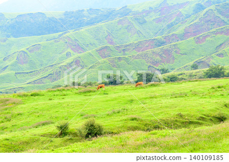 The magnificent and beautiful scenery of Mount Aso 140109185