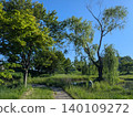 A park landscape with a walking path surrounded by greenery and trees. 140109272