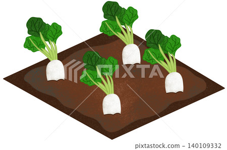 radish field illustration 140109332