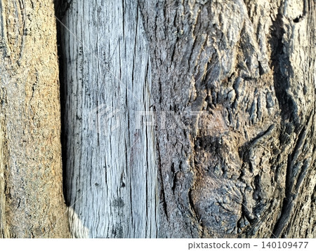 Tree Bark Texture Background Close Up Detail 140109477