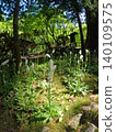 A quiet garden 140109575