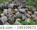 A close-up angled view of a large pile of freshly cut hardwood logs scattered loosely on the ground in an outdoor natural setting. 140109672