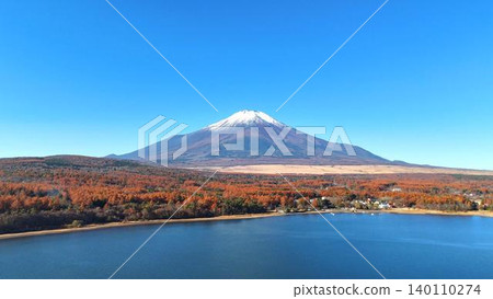 從覆蓋著美麗秋季蘆葦草的山坡上,可以欣賞到山中湖和富士山的壯麗景色。 從覆蓋著美麗秋季蘆葦草的山坡上,可以欣賞到山中湖和富士山的壯麗景色。 140110274