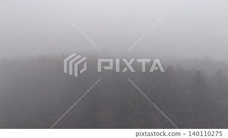The fantastical forest of Asagiri Plateau emerges from the deep mist. The fantastical forest of Asagiri Plateau emerges from the deep mist. 140110275