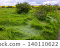 A beautiful wide-angle landscape photograph of a wild meadow with dramatically wind-swept long grass, captured in lush spring, early summer conditions. 140110622