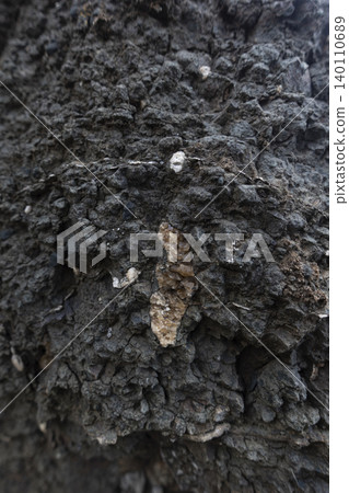 Calcite crystals embedded within a rough dark weathered rock formation 140110689