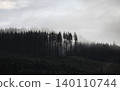 Foggy forest landscape with coniferous trees in mist 140110744