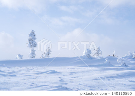 冬季的美幌:北海道令人嘆為觀止的雪原和覆蓋霜花的樹木景觀。 冬季的美幌:北海道令人嘆為觀止的雪原和覆蓋霜花的樹木景觀。 140110890