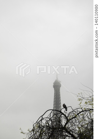 Pigeon perched on tree branch with Eiffel Tower in distance during foggy weather in Paris Pigeon perched on tree branch with Eiffel Tower in distance during foggy weather in Paris 140110980